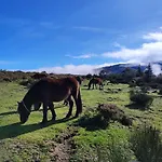Сasa de vacaciones Casa Da Fonte - Branda Da Aveleira Melgaço