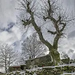 Сasa de vacaciones Casa Da Fonte - Branda Da Aveleira Melgaço