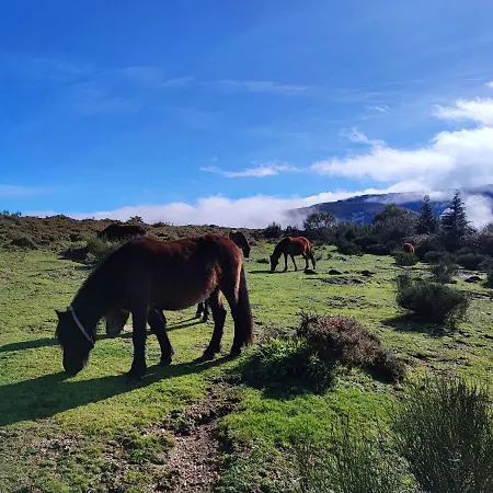 度假居 Casa Da Fonte - Branda Da Aveleira 梅尔加科