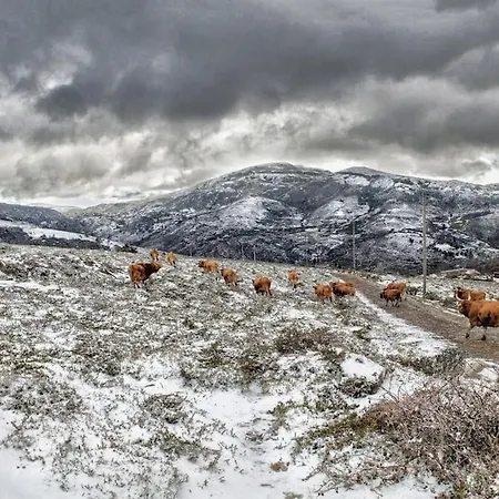 度假居 Casa Da Fonte - Branda Da Aveleira 梅尔加科