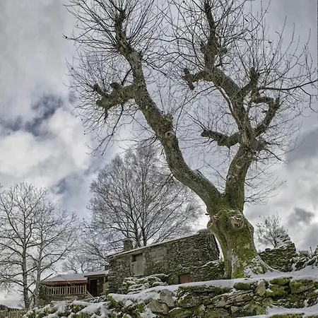 Ferienhaus Casa Da Fonte - Branda Da Aveleira Melgaço