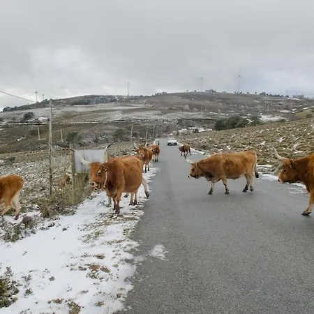 度假居 Casa Da Fonte - Branda Da Aveleira