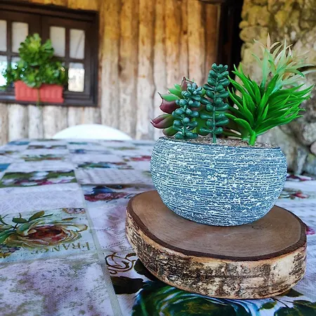 Casa Da Fonte - Branda Da Aveleira 梅尔加科