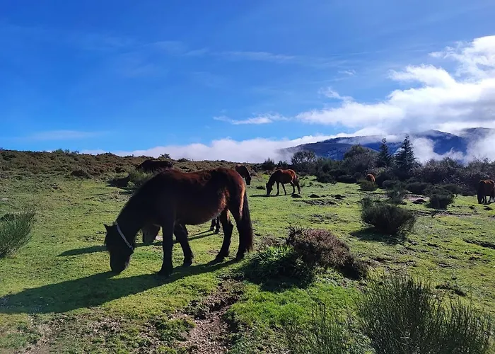 Ferienhaus Casa Da Fonte - Branda Da Aveleira Melgaço