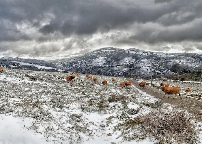 Ferienhaus Casa Da Fonte - Branda Da Aveleira Melgaço