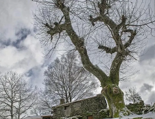 Ferienhaus Casa Da Fonte - Branda Da Aveleira Melgaço