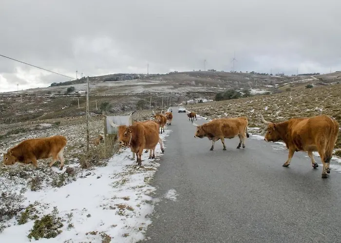 Ferienhaus Casa Da Fonte - Branda Da Aveleira